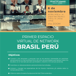 Primer Encuentro Virtual de Network Brasil Perú