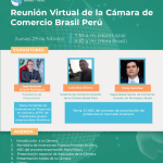 Reunión Virtual de la Cámara de Comercio Brasil Perú