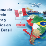 NUEVO PROGRAMA ESPECIALIZADO EN COMERCIO EXTERIOR Y NEGOCIOS PERÚ BRASIL