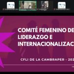 Comité Femenino de Liderazgo de la Cámara de Comercio Brasil-Perú